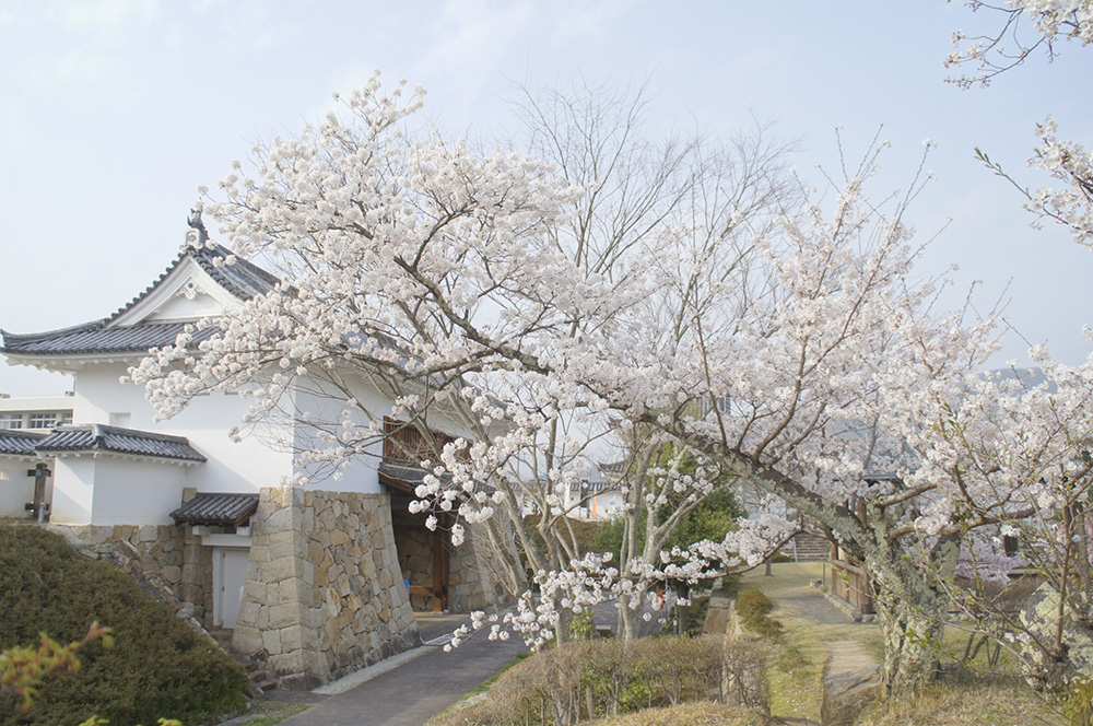 西舞鶴にかつてあった城跡地の公園。当時の外堀や資料館もあります。