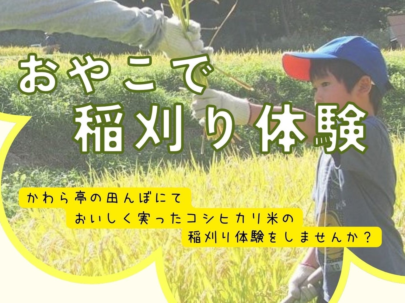 【9/26限定】１泊２食付◆稲刈り体験と新潟の美食堪能プラン〈12時からチェックインOK！〉
