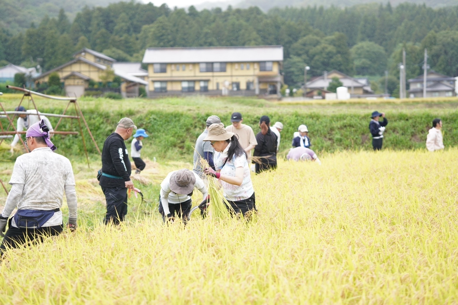 【9/26限定】１泊２食付◆稲刈り体験と新潟の美食堪能プラン〈12時からチェックインOK！〉