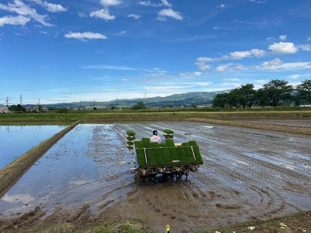 【5/16限定！】１泊２食付◆田植え体験と新潟の美食堪能プラン〈12時からチェックインOK！〉