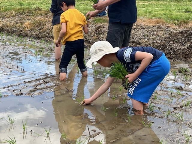 【5/16限定！】１泊２食付◆田植え体験と新潟の美食堪能プラン〈12時からチェックインOK！〉