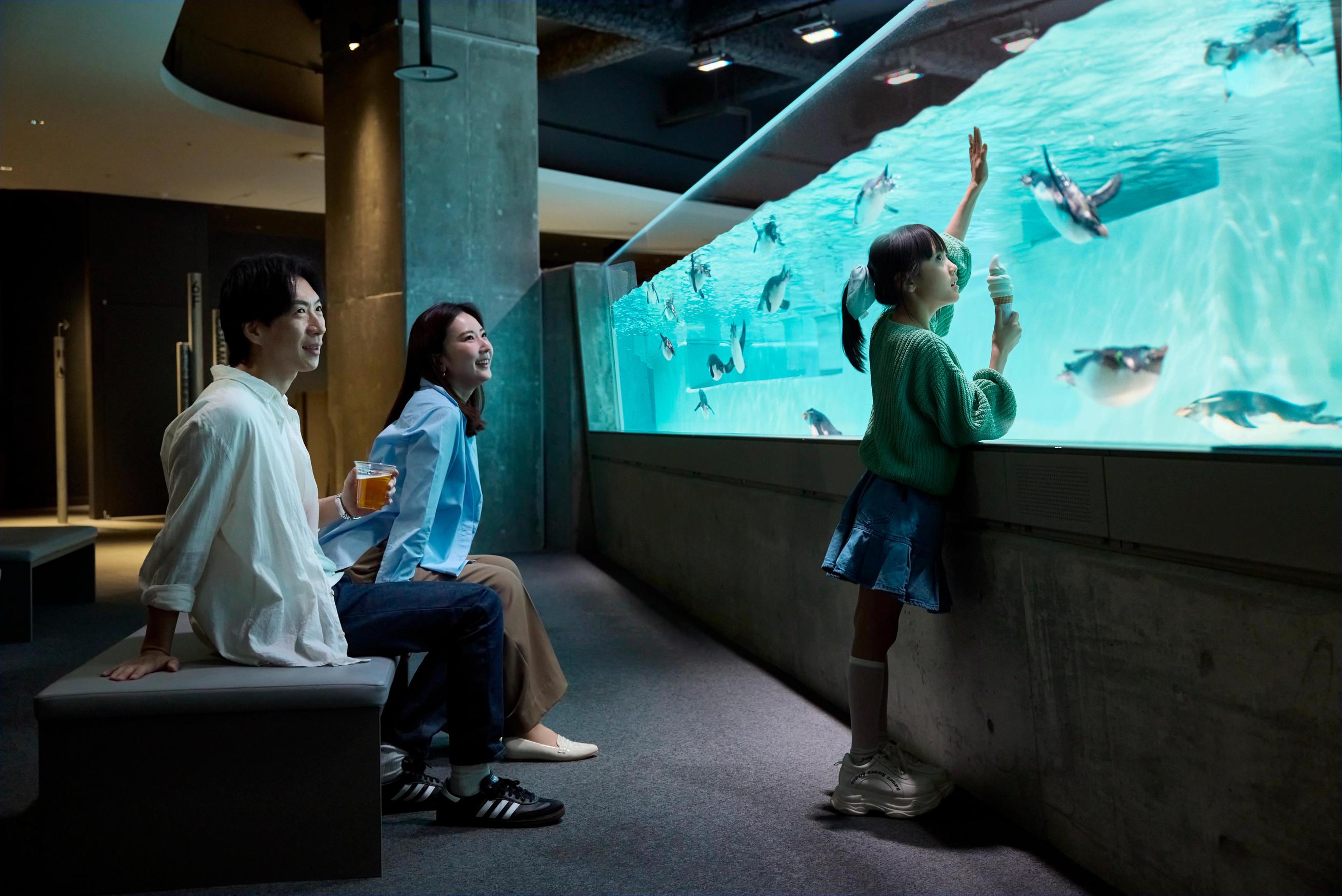 AOAOSAPPORO　水族館1