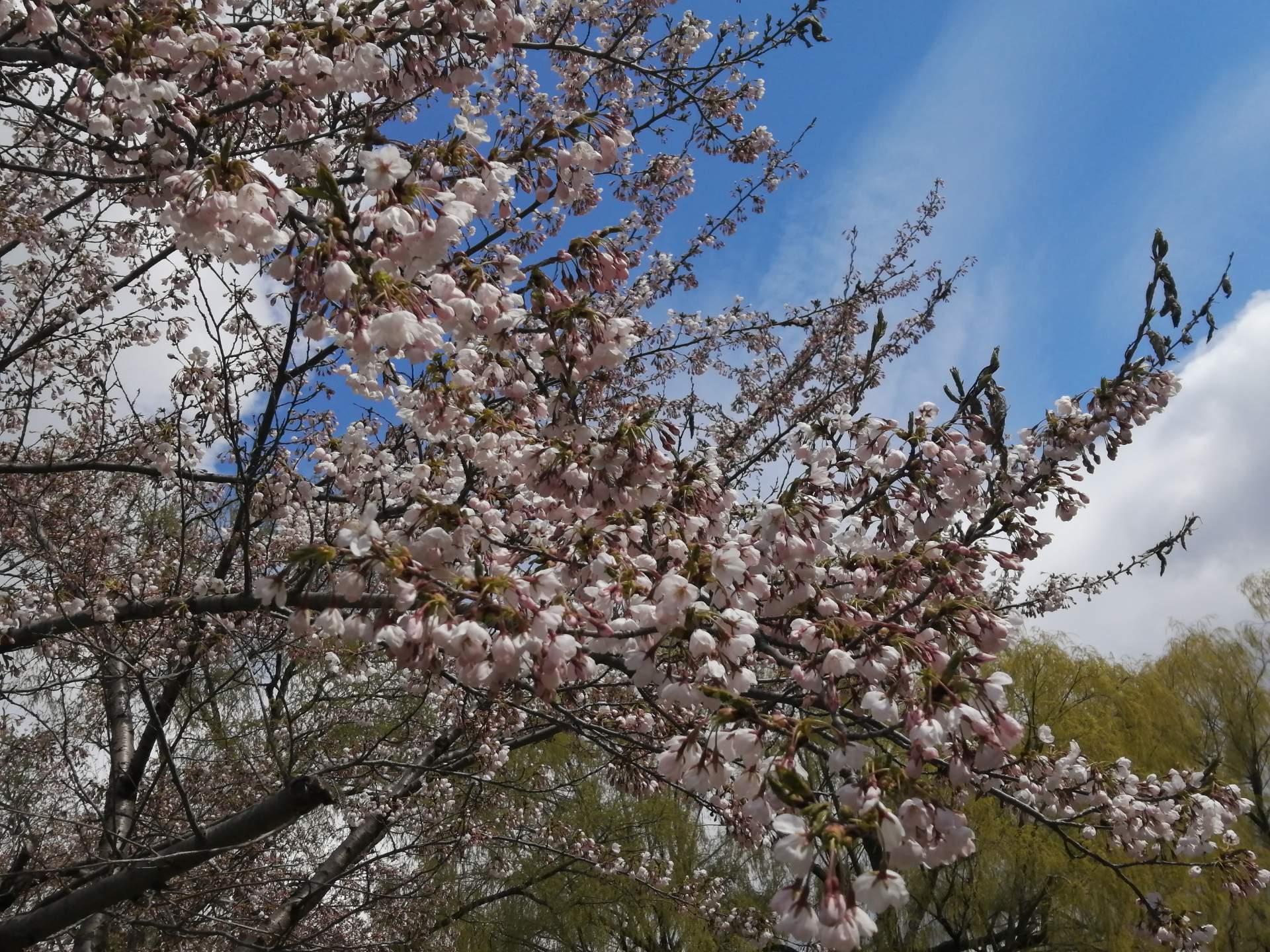 スマイルホテルプレミアム札幌すすきの - 写真 57