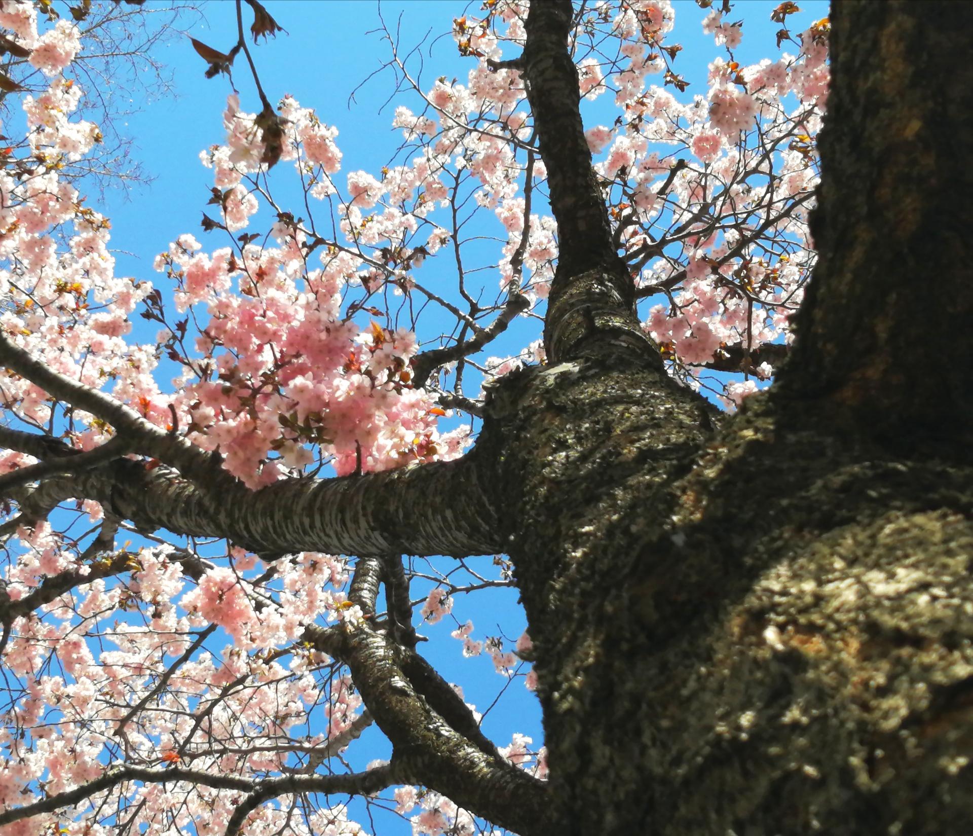 スマイルホテルプレミアム札幌すすきの - 写真 56