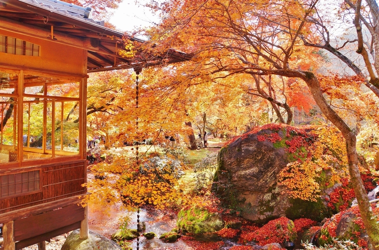 天龍寺の紅葉