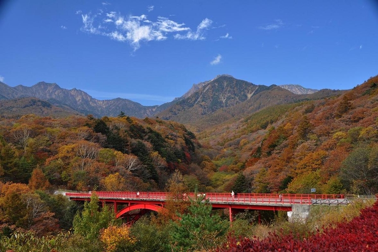 八ヶ岳山麓