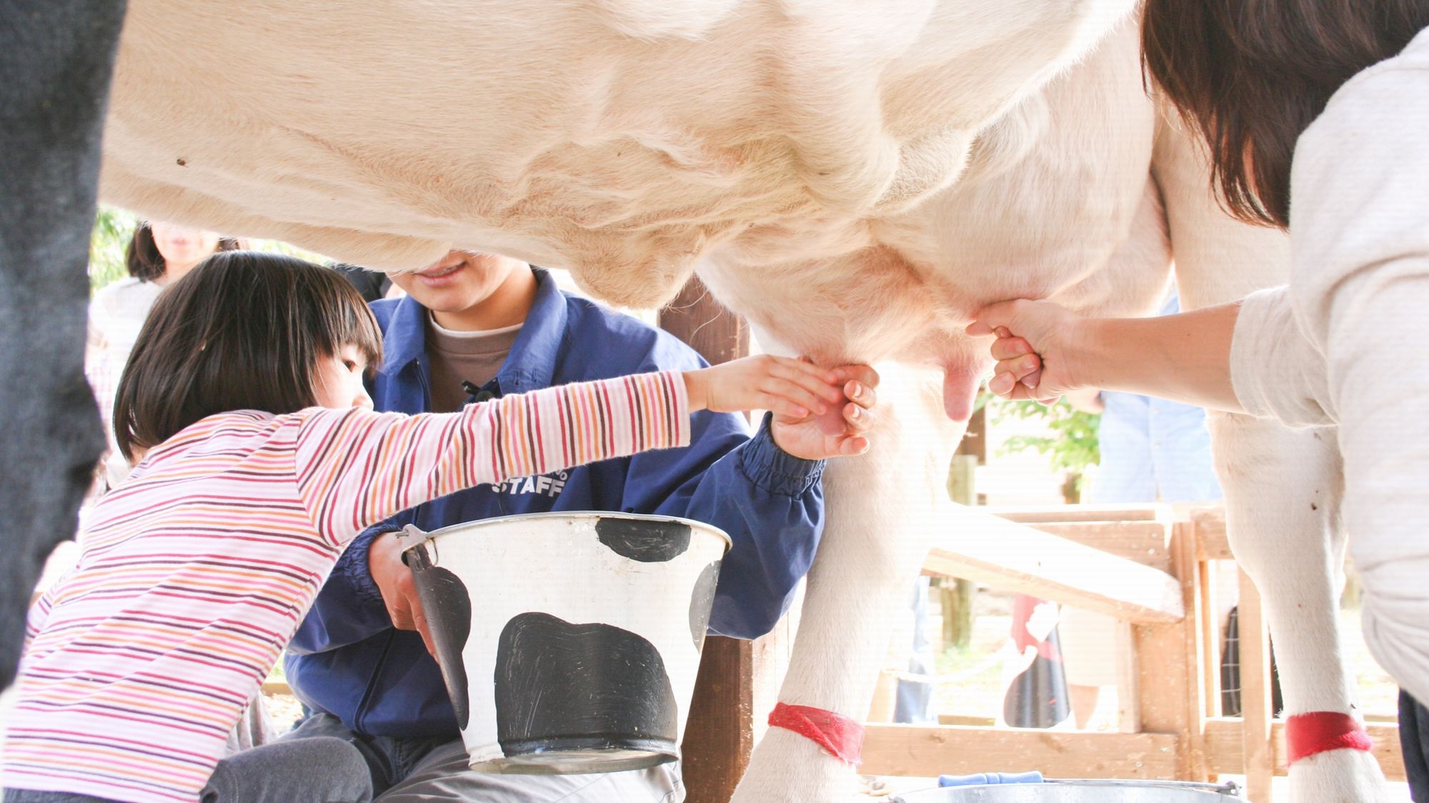 【ファミリーにおすすめ】「成田ゆめ牧場」入場券付プラン／素泊まり