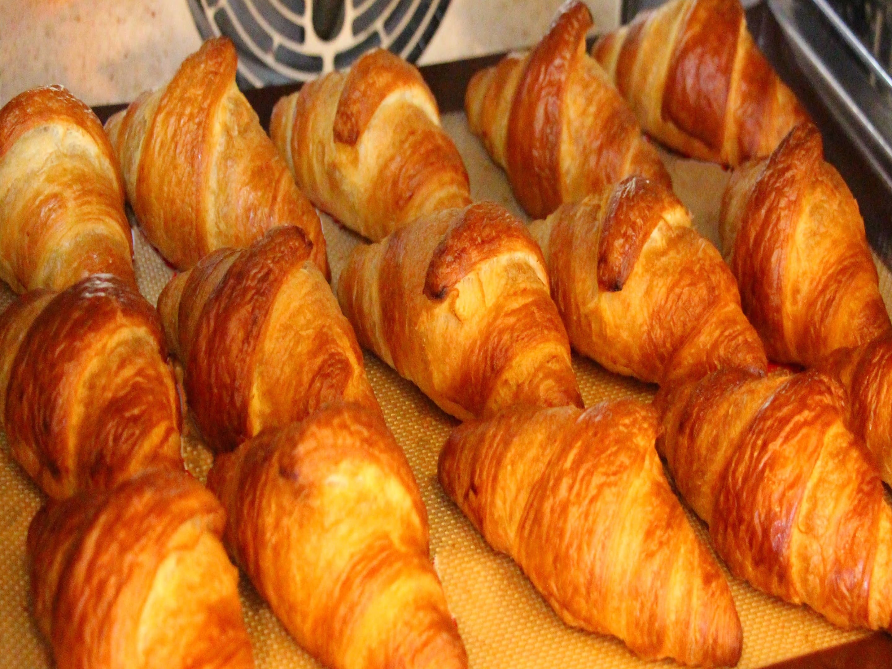朝食ビュッフェ「焼きたてパン」