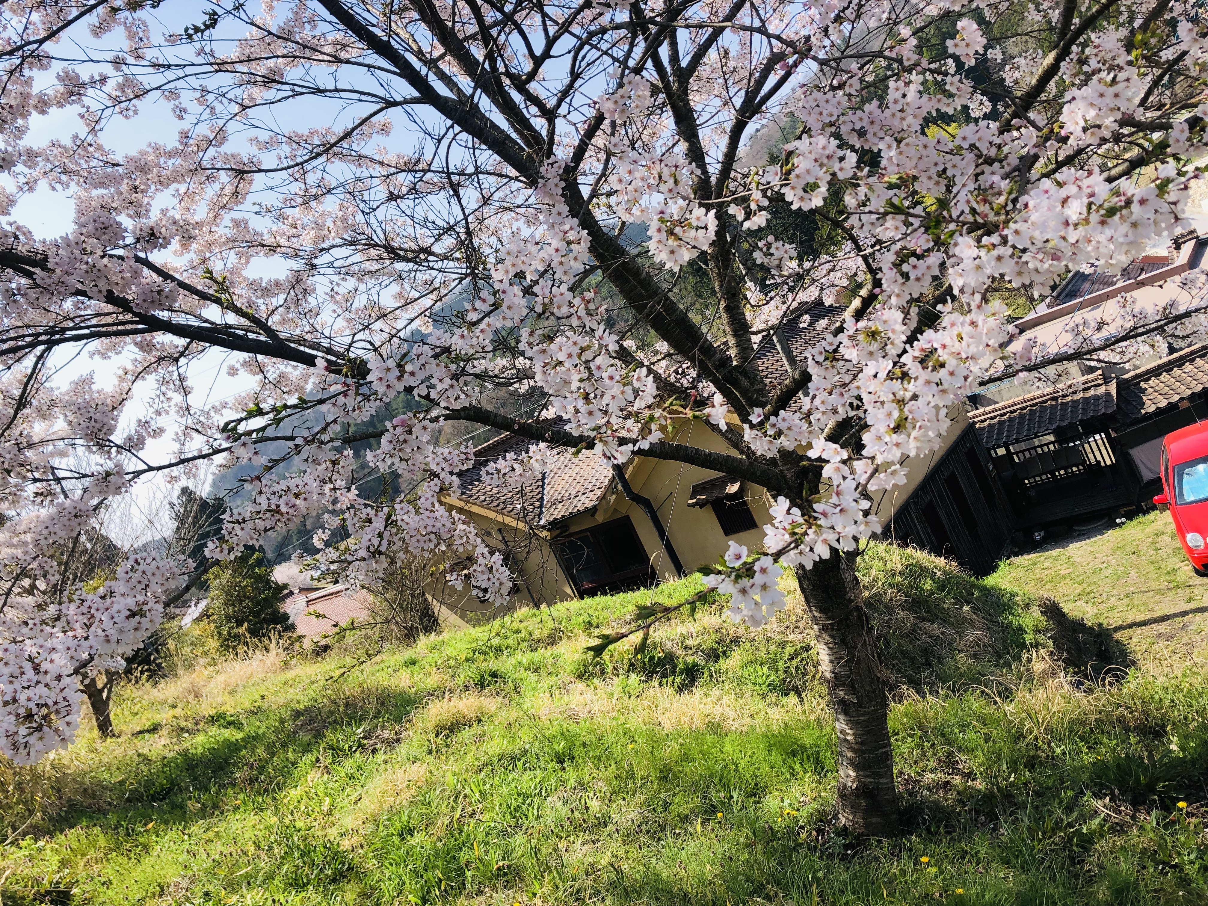 春の吹屋