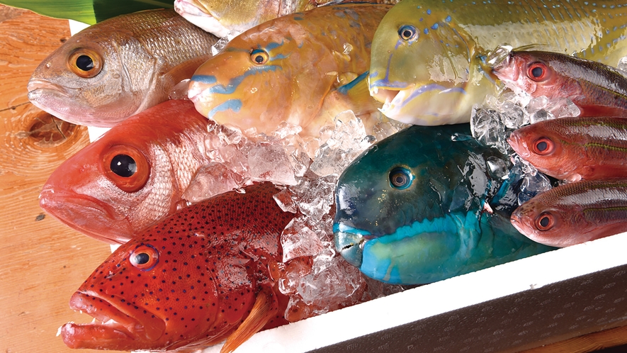 沖縄の色鮮やかな鮮魚　©OCVB
