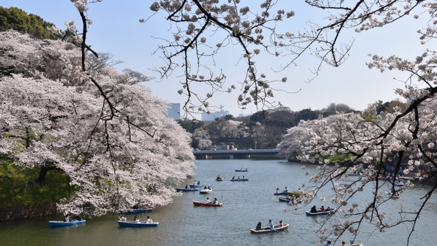 ◆千鳥ヶ淵公園◆ ホテルから約20分 