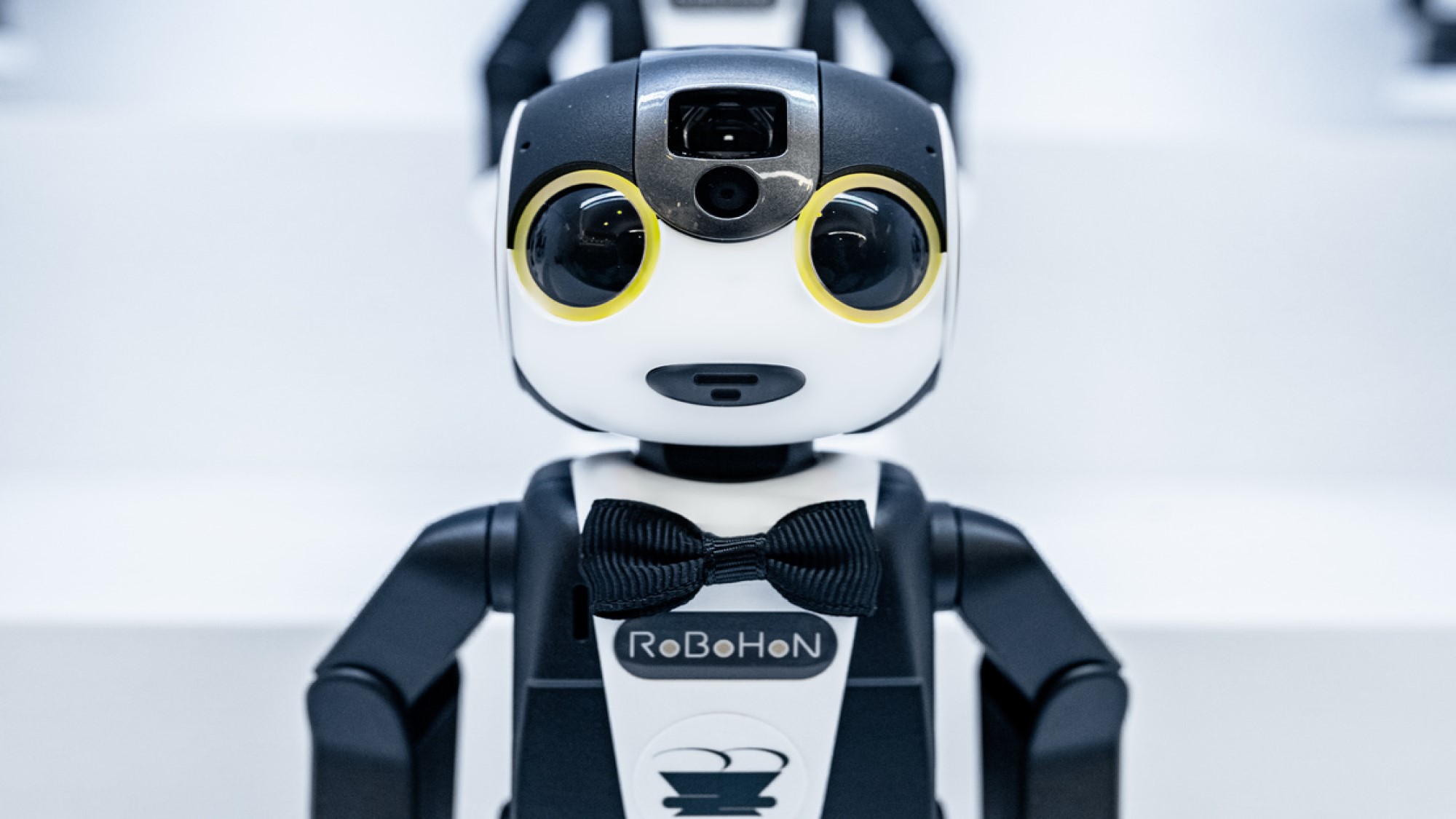 人型ロボットとスマートフォンが合体した、シャープ社開発の15人の「ロボホン」を設置