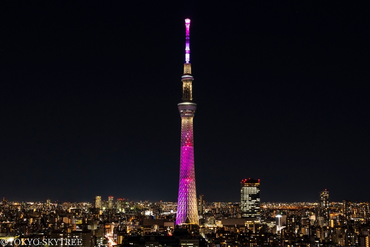 変なホテル東京 浅草橋 写真 動画 楽天トラベル 変なホテル東京 浅草橋 写真 動画 楽天トラベル