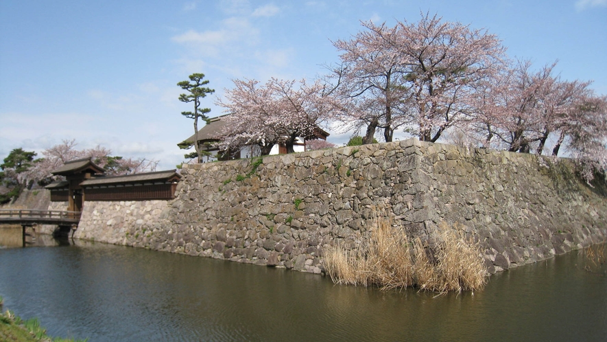 松代城跡の桜(写真提供：長野県観光機構)