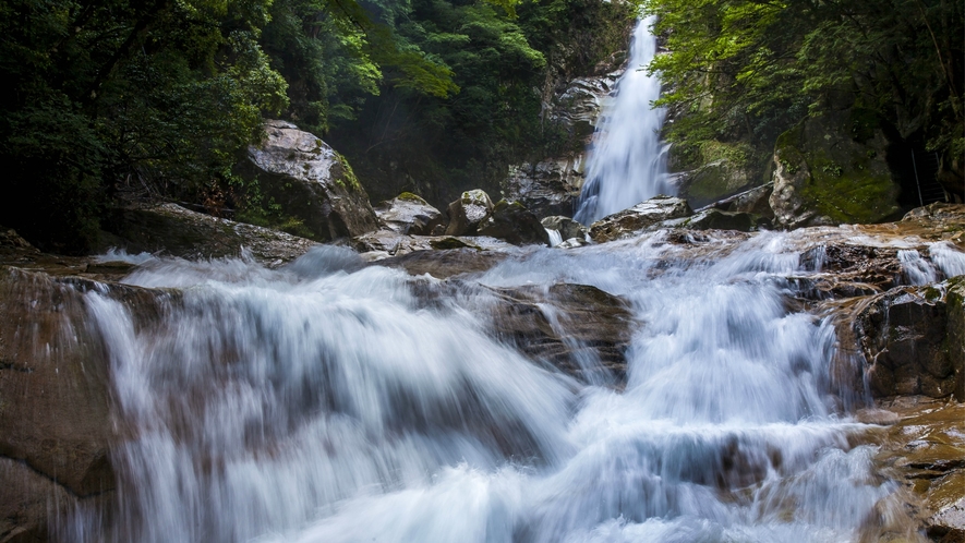 【笹の滝】水しぶきをあげて流れおちる雄大さはもちろん岩肌を流れる白糸の美しさは一見の価値があります。