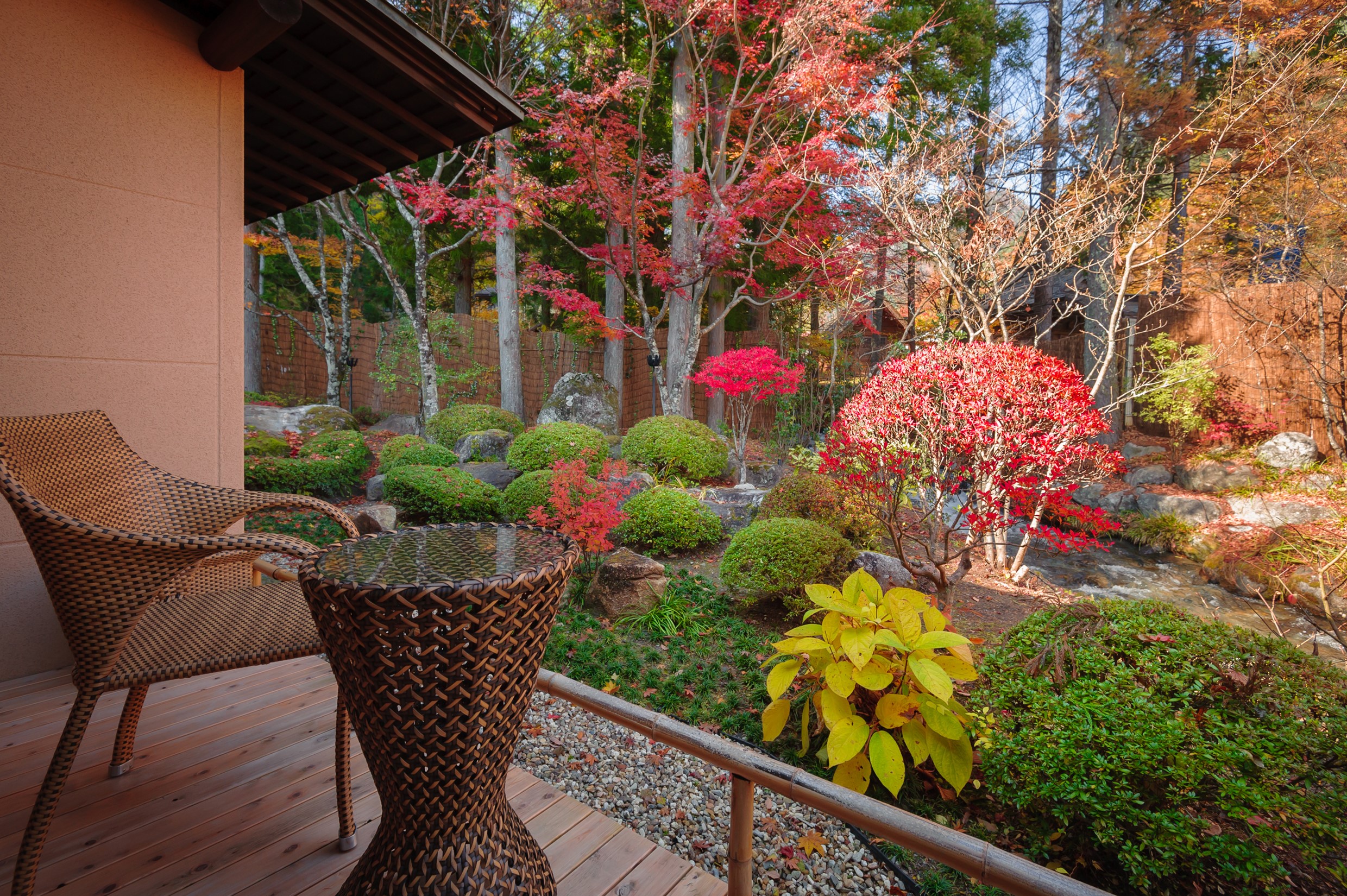 テラスから紅葉