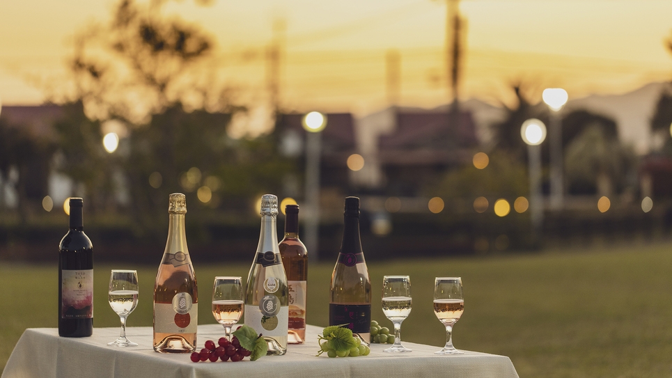 【シンプルステイ／食事なし】 大自然に抱かれるくつろぎのひと時——。細胞が癒されるヒーリングリゾート