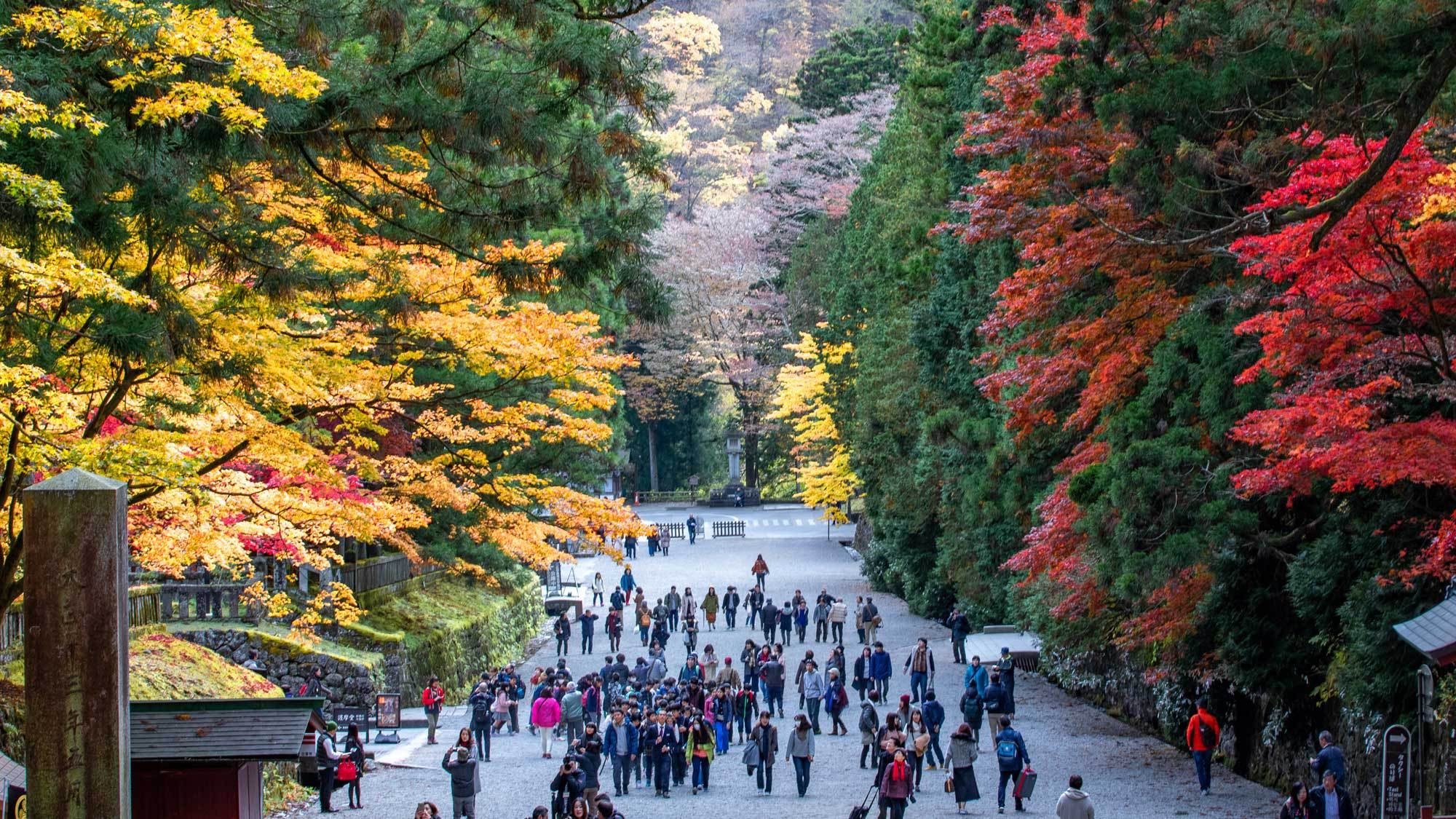 【秋満喫プラン】秋の味覚満載の日光フレンチに紅葉、温泉で秋のひとときを愉しむ。（2食付）