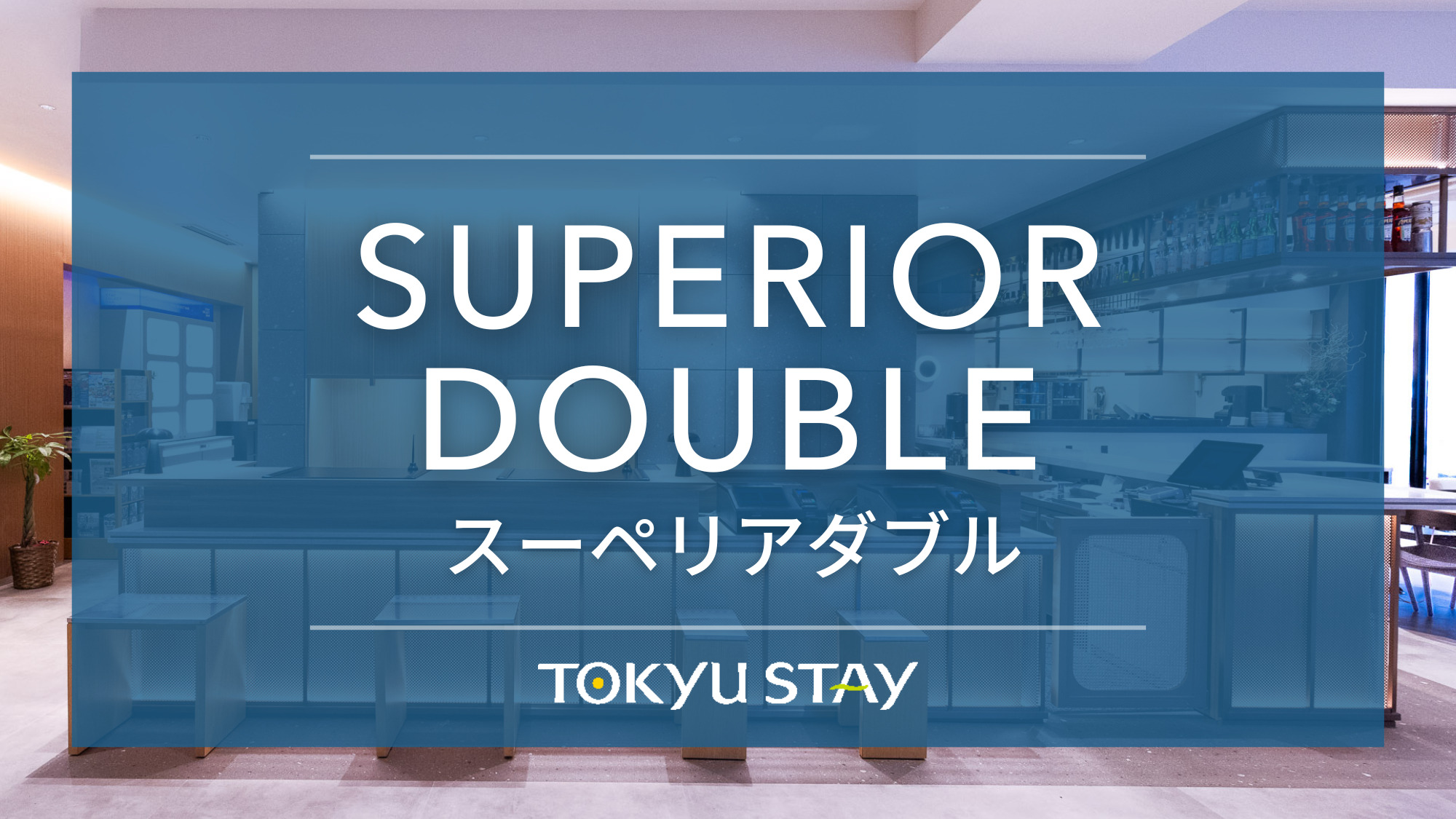 ■スーペリアダブル｜17㎡