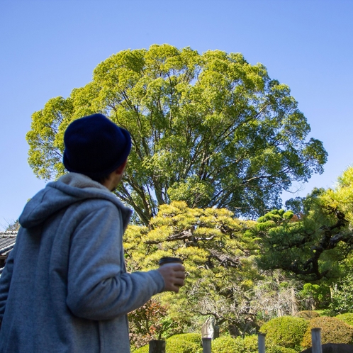 内子町並み保存地区／本芳我家住宅