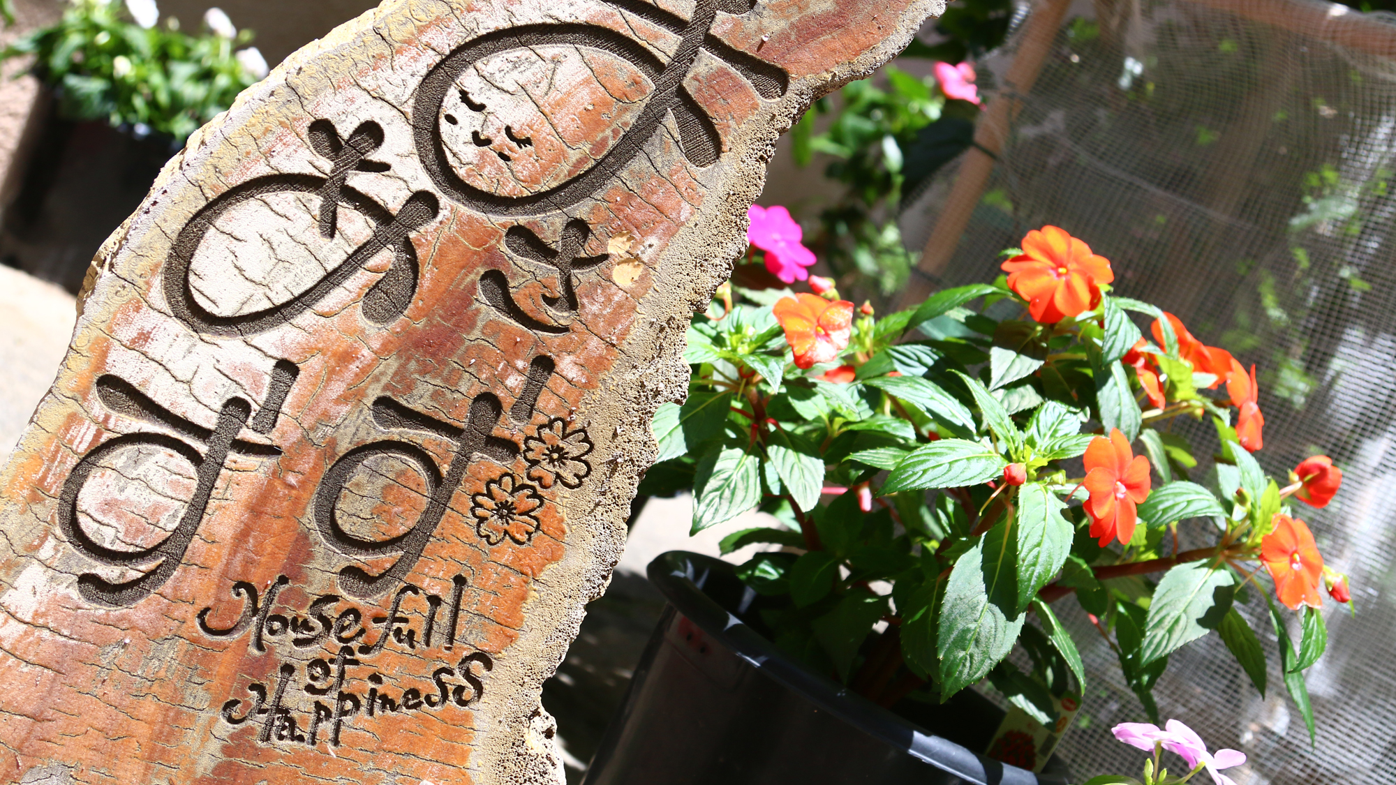 【イメージ】この時期だけのお花に出会えます♪ 