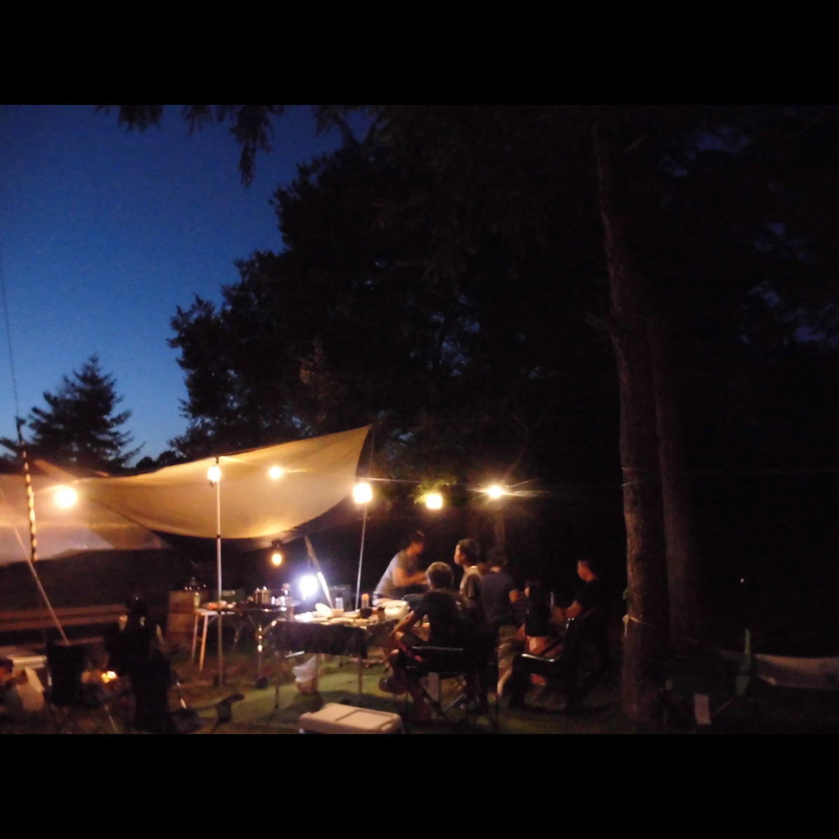 星空の下、みんなでわいわいバーベキュー