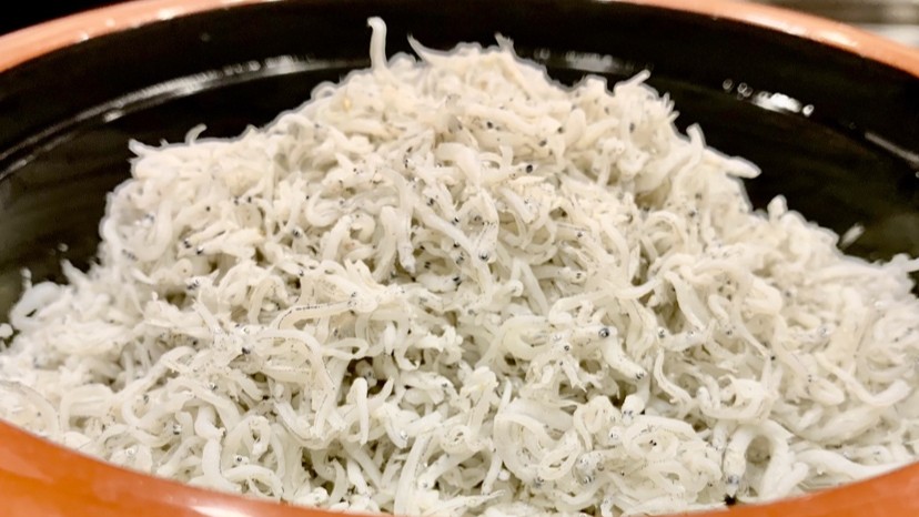 高知名物釜揚げしらす！