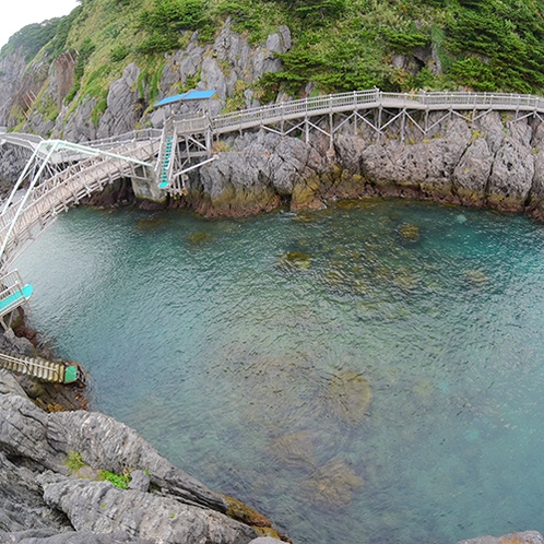 *[赤崎海水浴場・遊歩道]透明度抜群！神津島に来たら是非潜って頂きたい場所のひとつ。