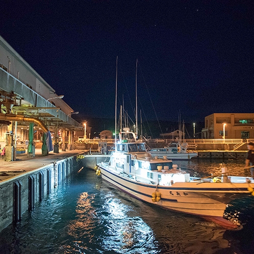 *[夜光虫ツアー]漁船で沖に出て幻想的な光の世界を鑑賞できる夏のお勧めツアー！