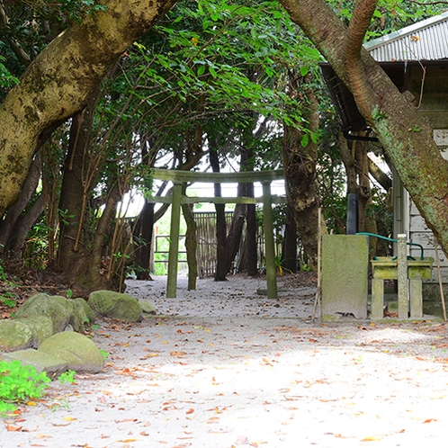 *[琴平宮]神津島村役場の近く、島の人からこんぴら様と親しまれている場所。