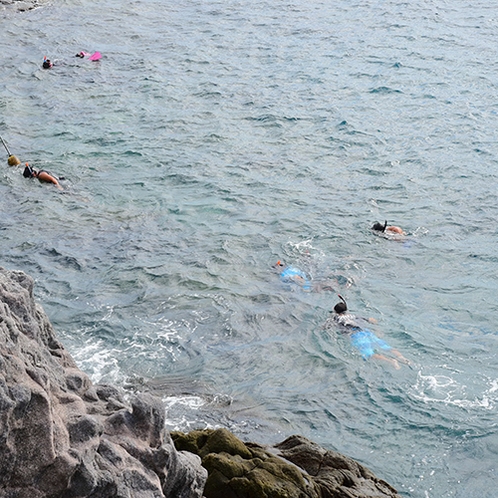 *[赤崎海水浴場・遊歩道]島有数のシュノーケル＆ダイビングスポット！