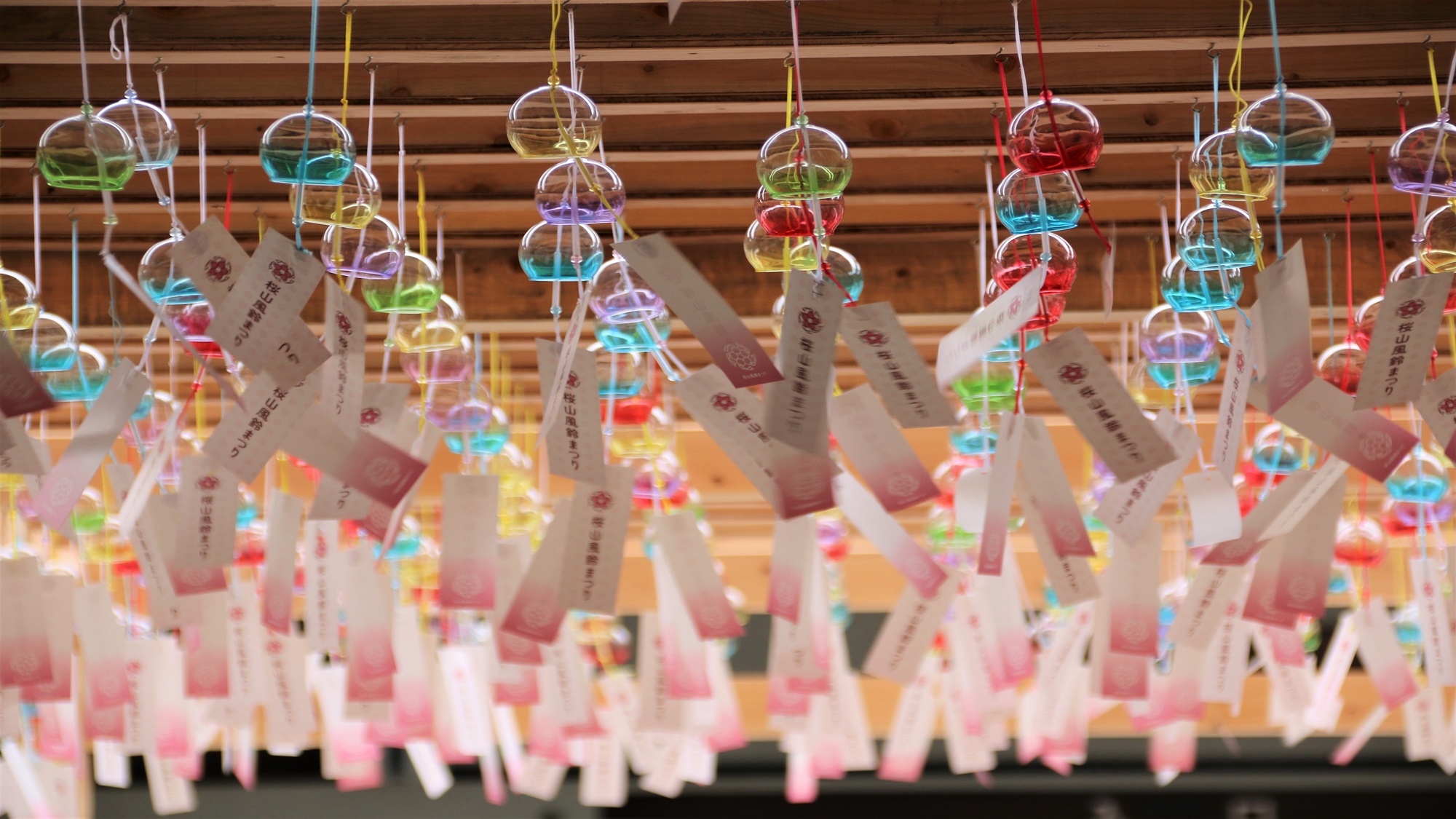 桜山風鈴まつり（櫻山八幡宮：7月19日～8月23日）