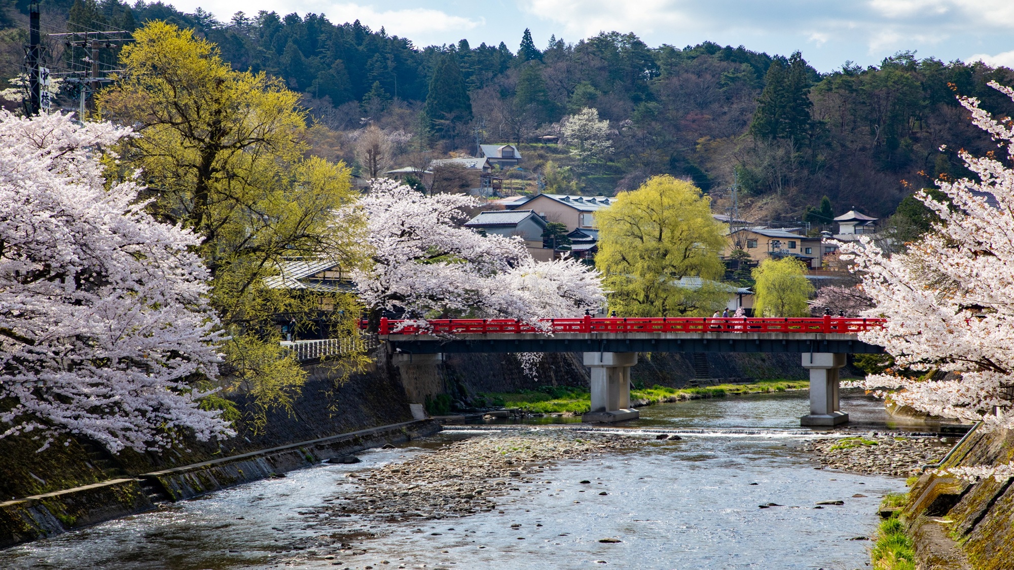赤い中橋（春）