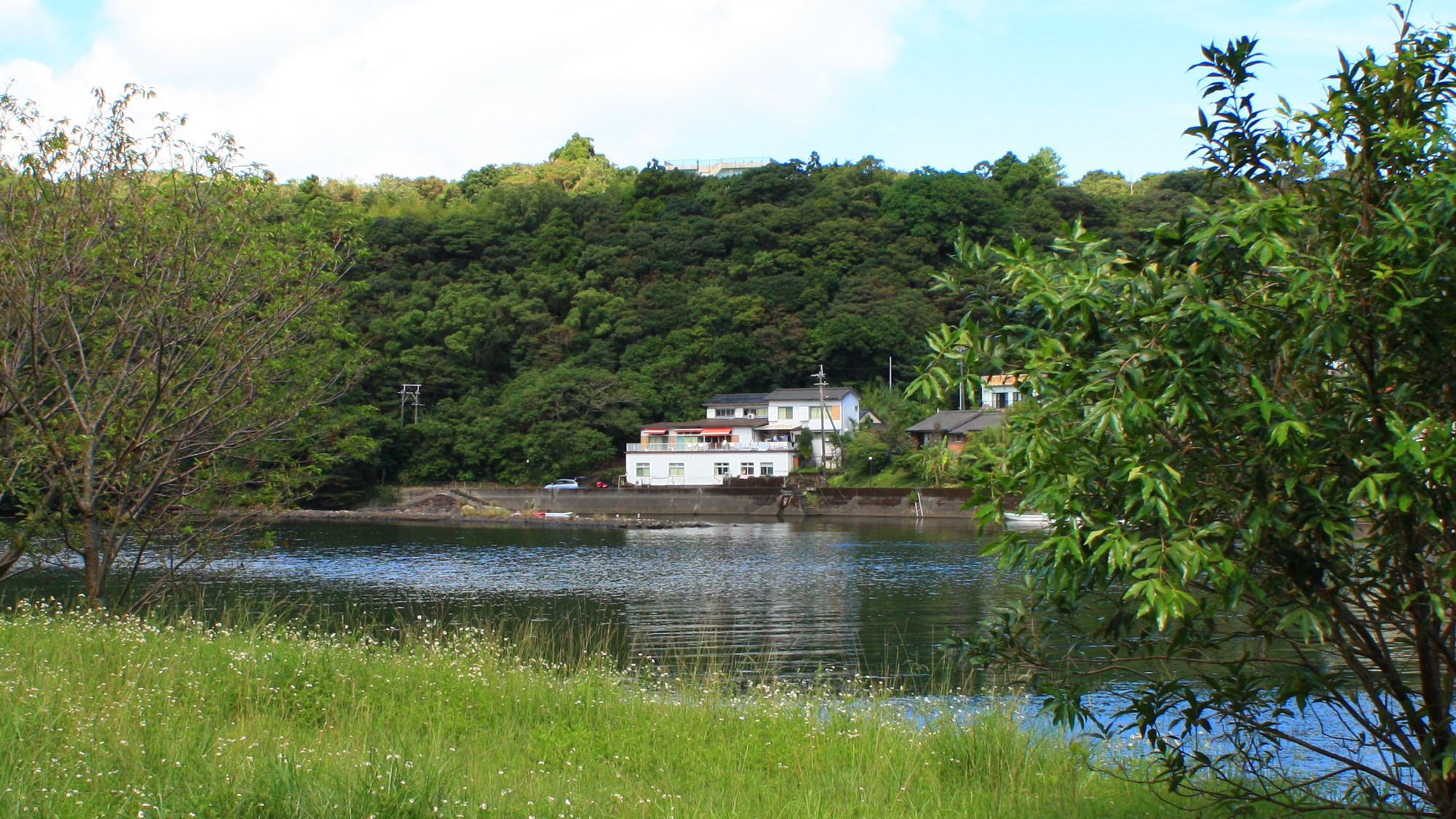 *【外観】安房川の上流に佇む民宿。食堂や2階の部屋からは清流がご覧いただけます。