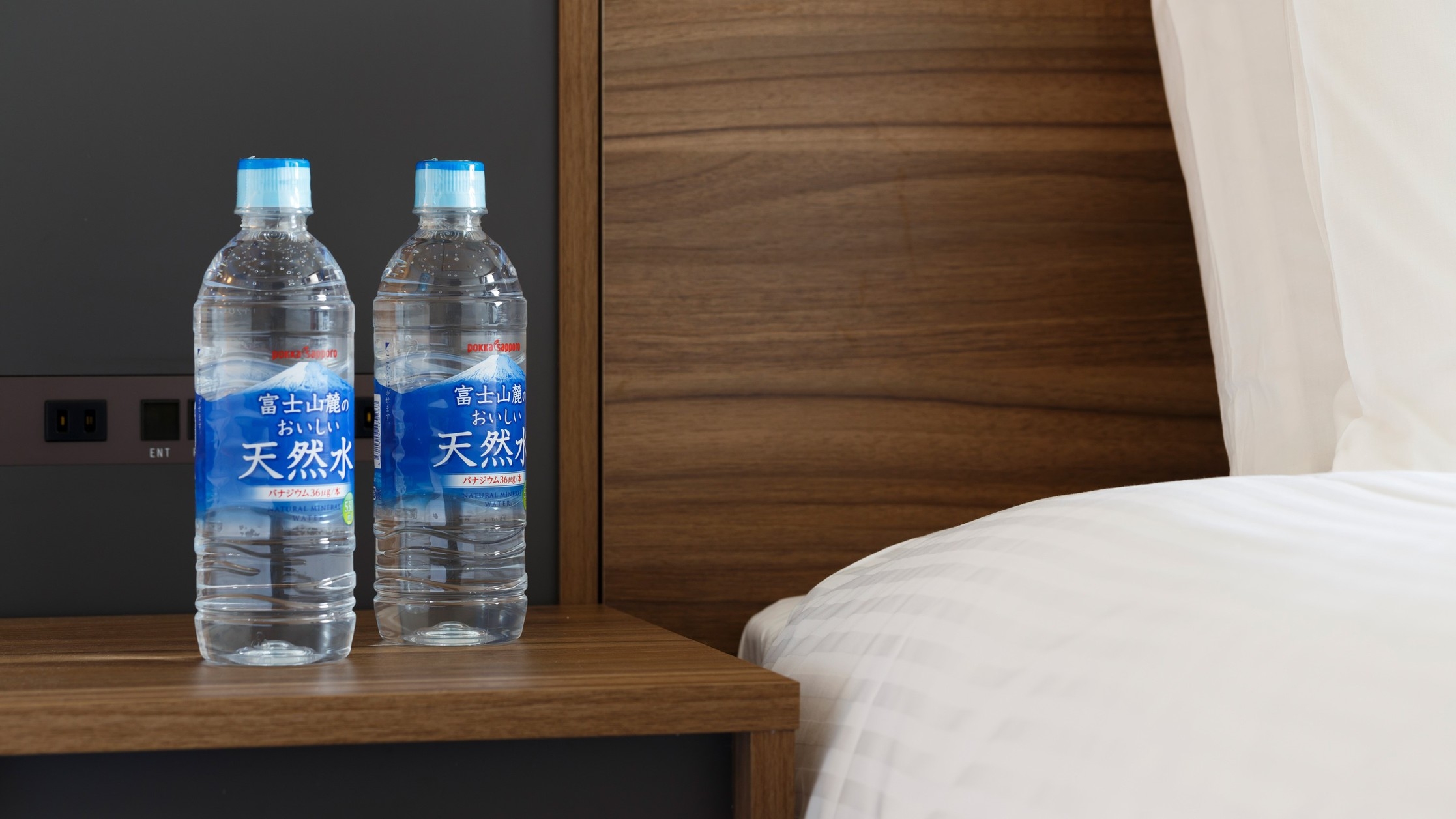 【秋冬SALE】シンプルステイ＜素泊り＞