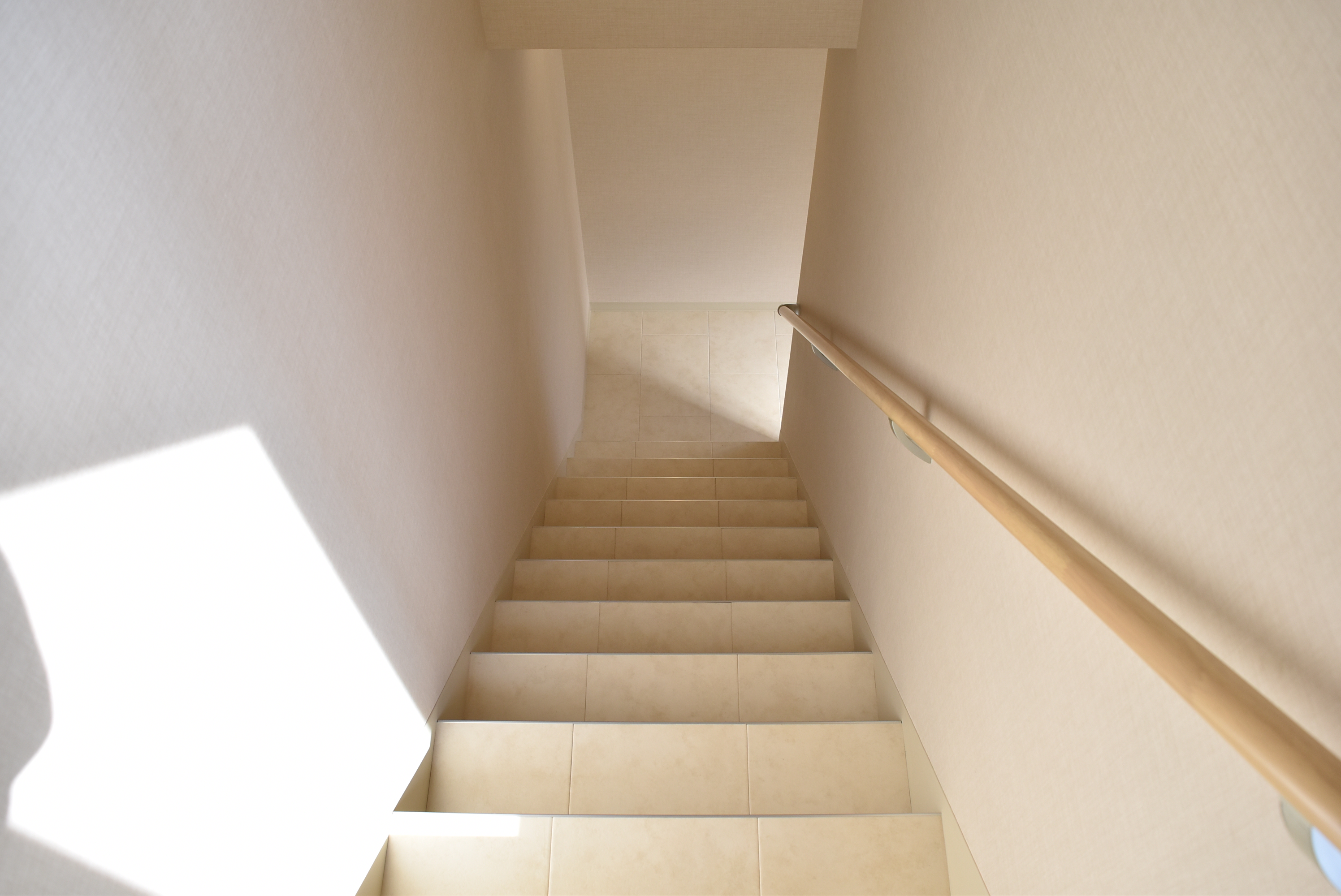 階段　ファミリー／グループ