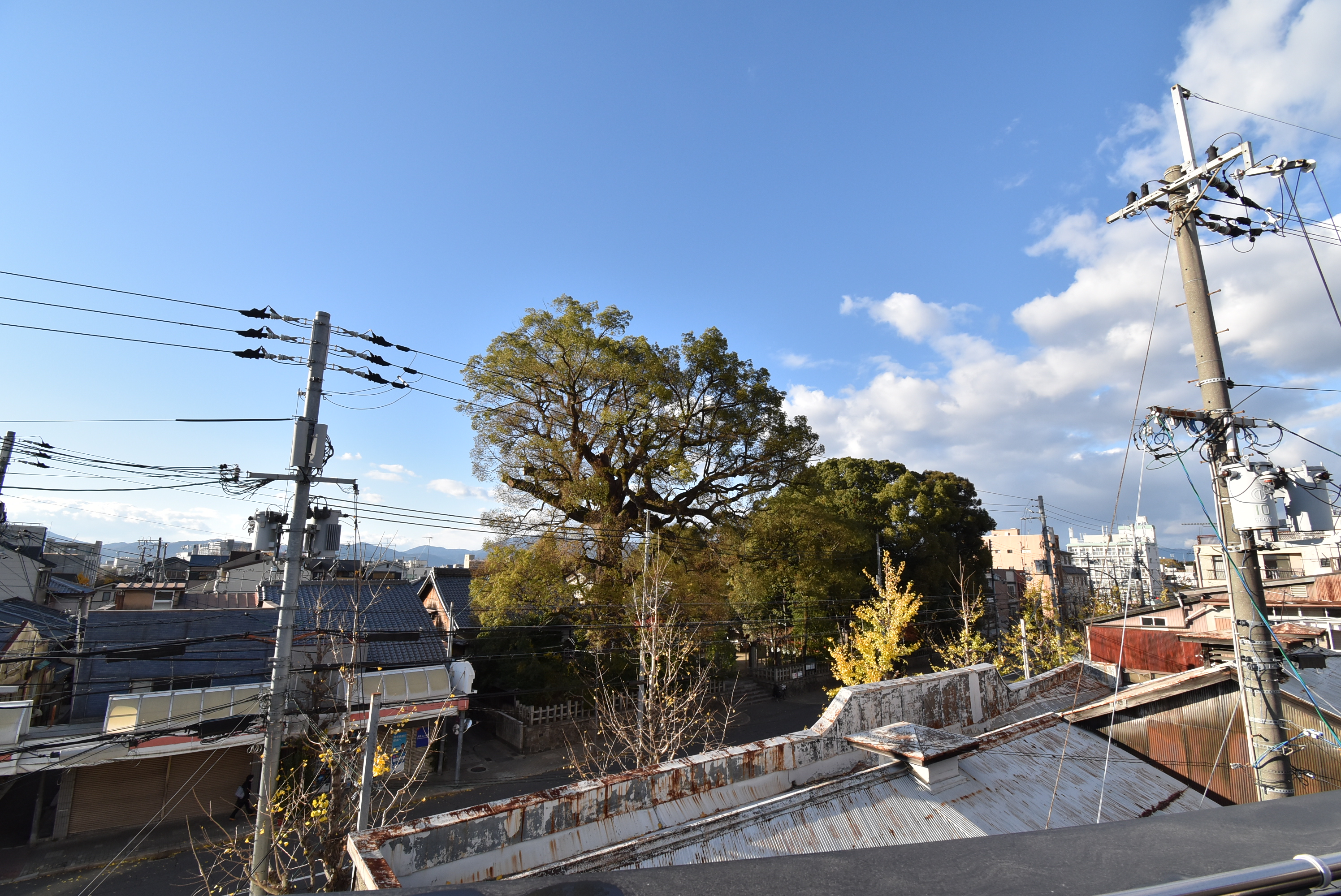 眺望　ファミリー／グループ