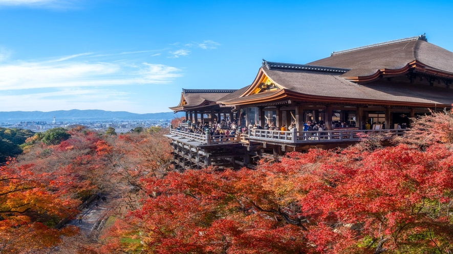 【清水寺】清水寺の夜の特別拝観とライトアップが行われます。観音様の慈悲の光と、紅葉を楽しめます。