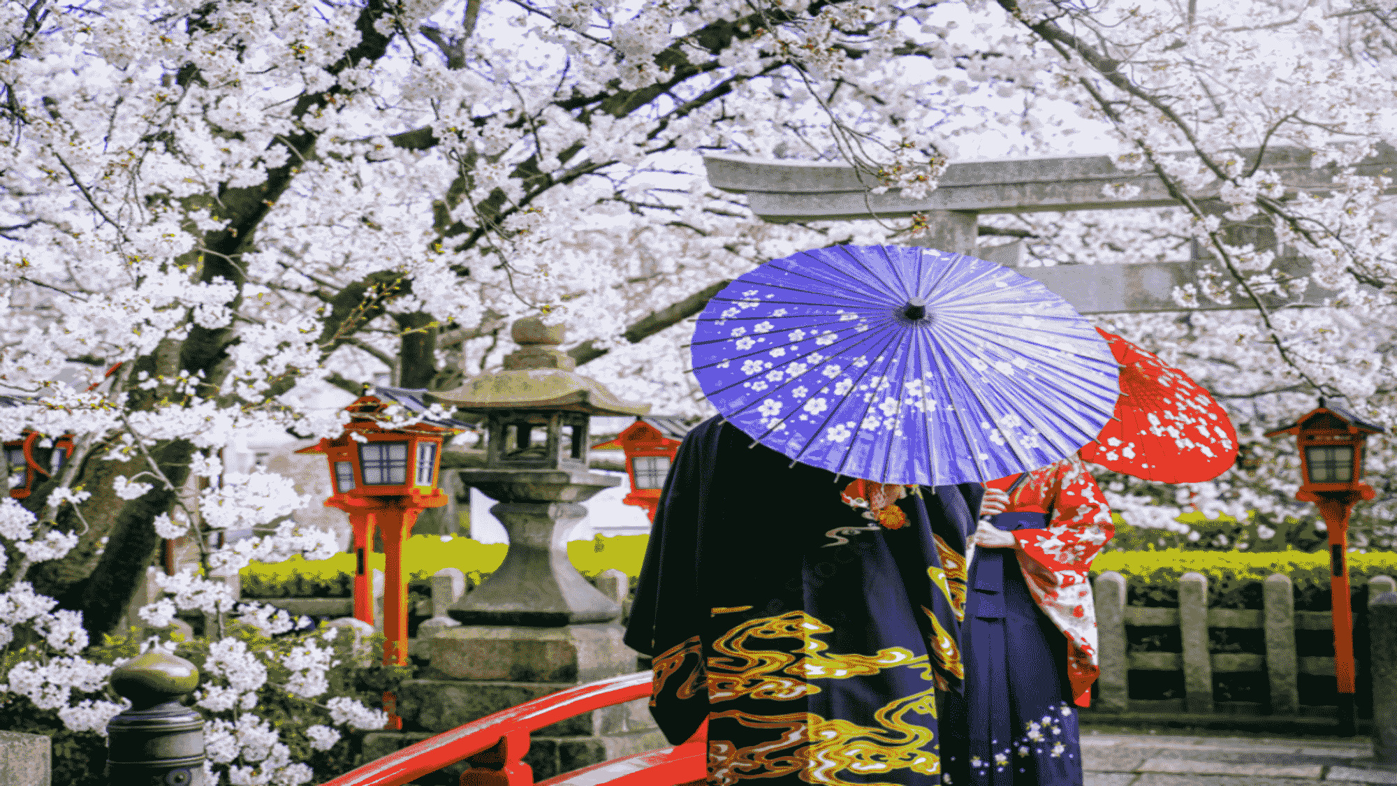 【桜の名所】古き良き日本文化を四季折々の自然と共に堪能できる街、京都。桜の名所が沢山あるエリアです。