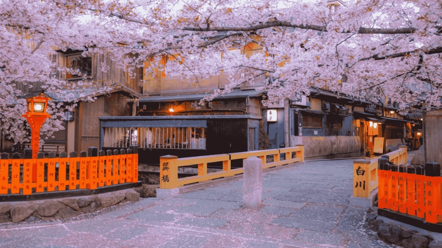 【祇園白川】町家が連なり、白川が流れ、石畳の道が続いており、春の桜のライトアップは情緒を楽しめます。