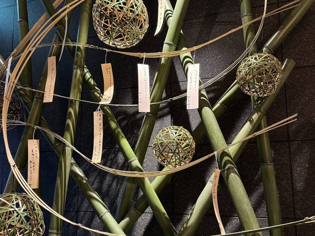 竹に揺れる願いの言葉、七夕の夜に宿る静かな余韻