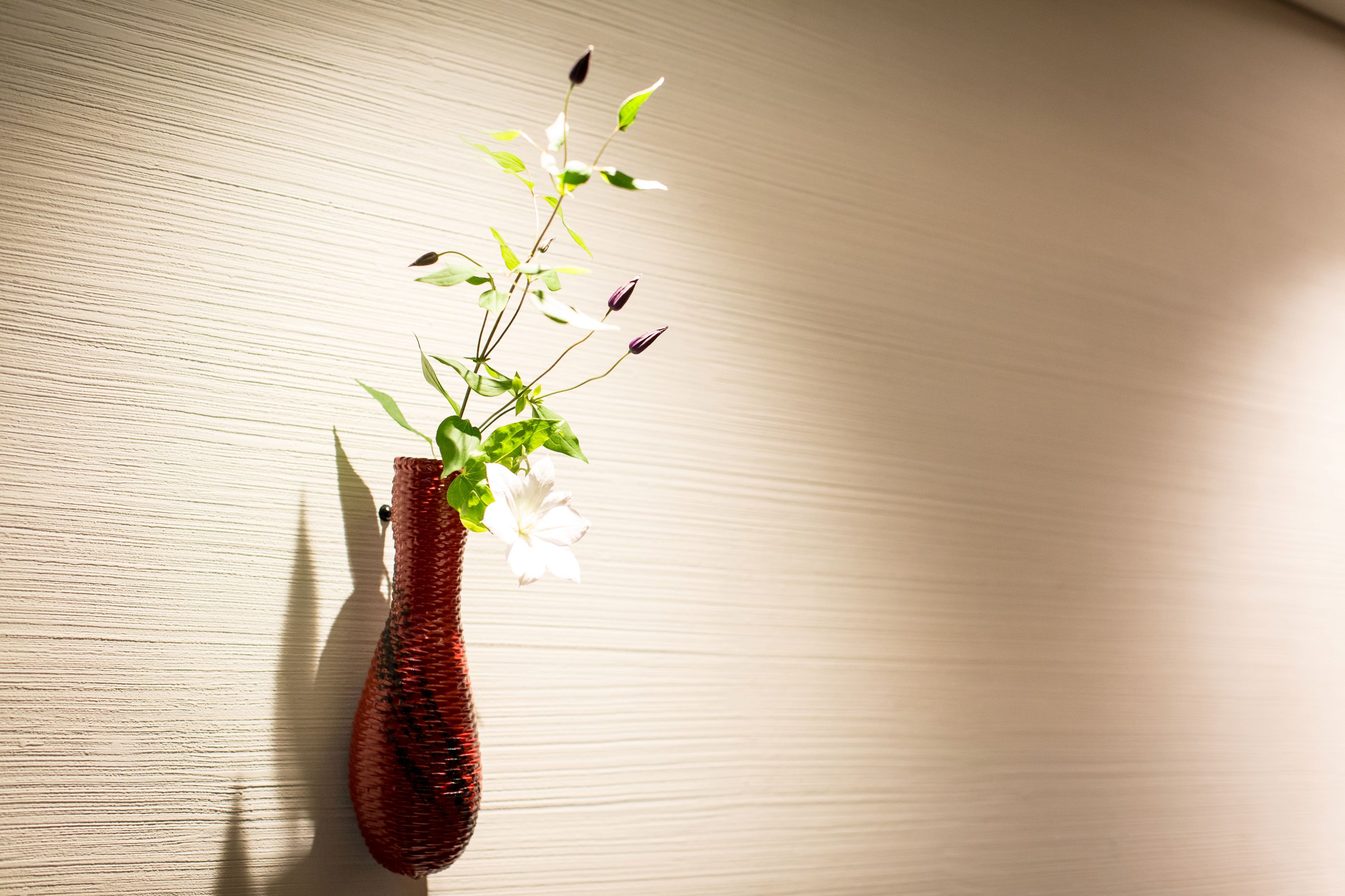 花籠　一輪の花が語る静寂、京都の&ldquo;間&rdquo;に咲くやすらぎ