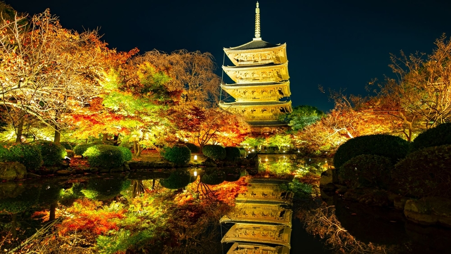 【東寺】深紅に紅葉した木々を背景にそびえ立つ五重塔は、思わずため息が出てしまうほどの美しさです。
