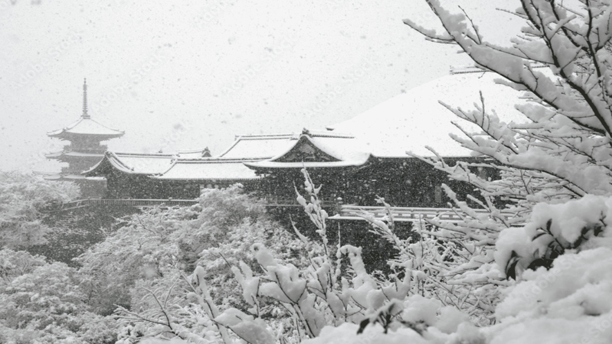【清水寺】雪景色の本堂は優美そのものです。冬しか味わえない清水寺をご堪能ください。