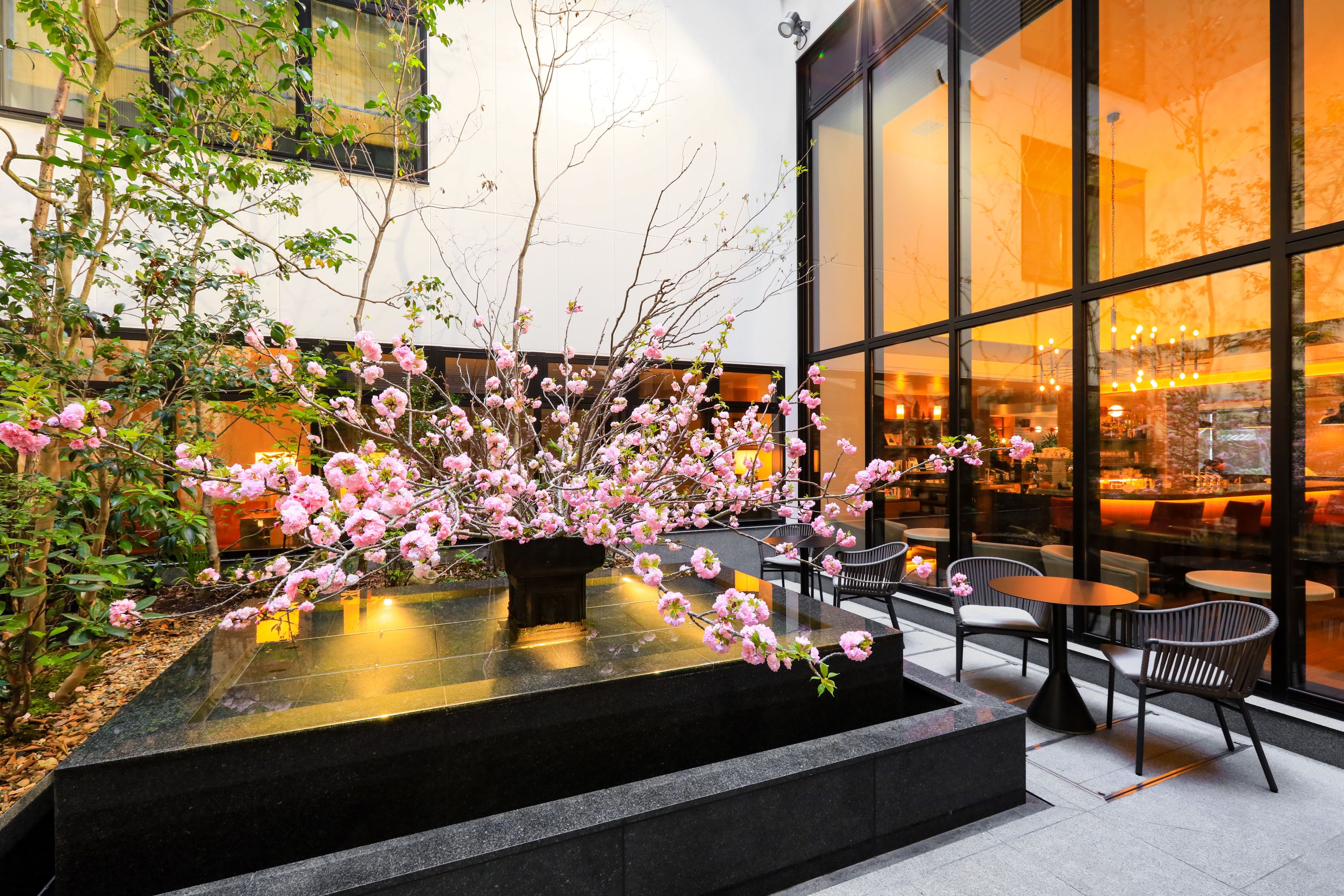 庭に降り注ぐ光と桜の花びら、儚さを映す雅な春の瞬間