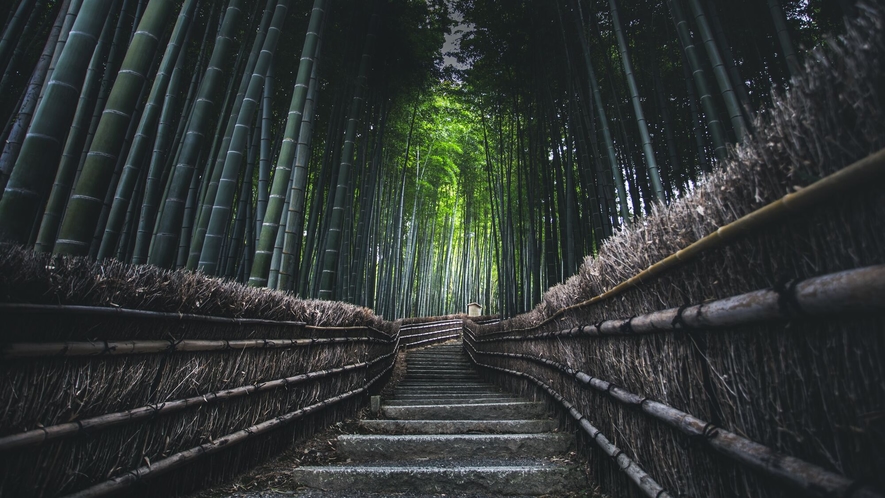 【嵐山】世界的にも有名な観光地、京都・嵐山。その中でも絶景と言われているのが「竹林の道」です。