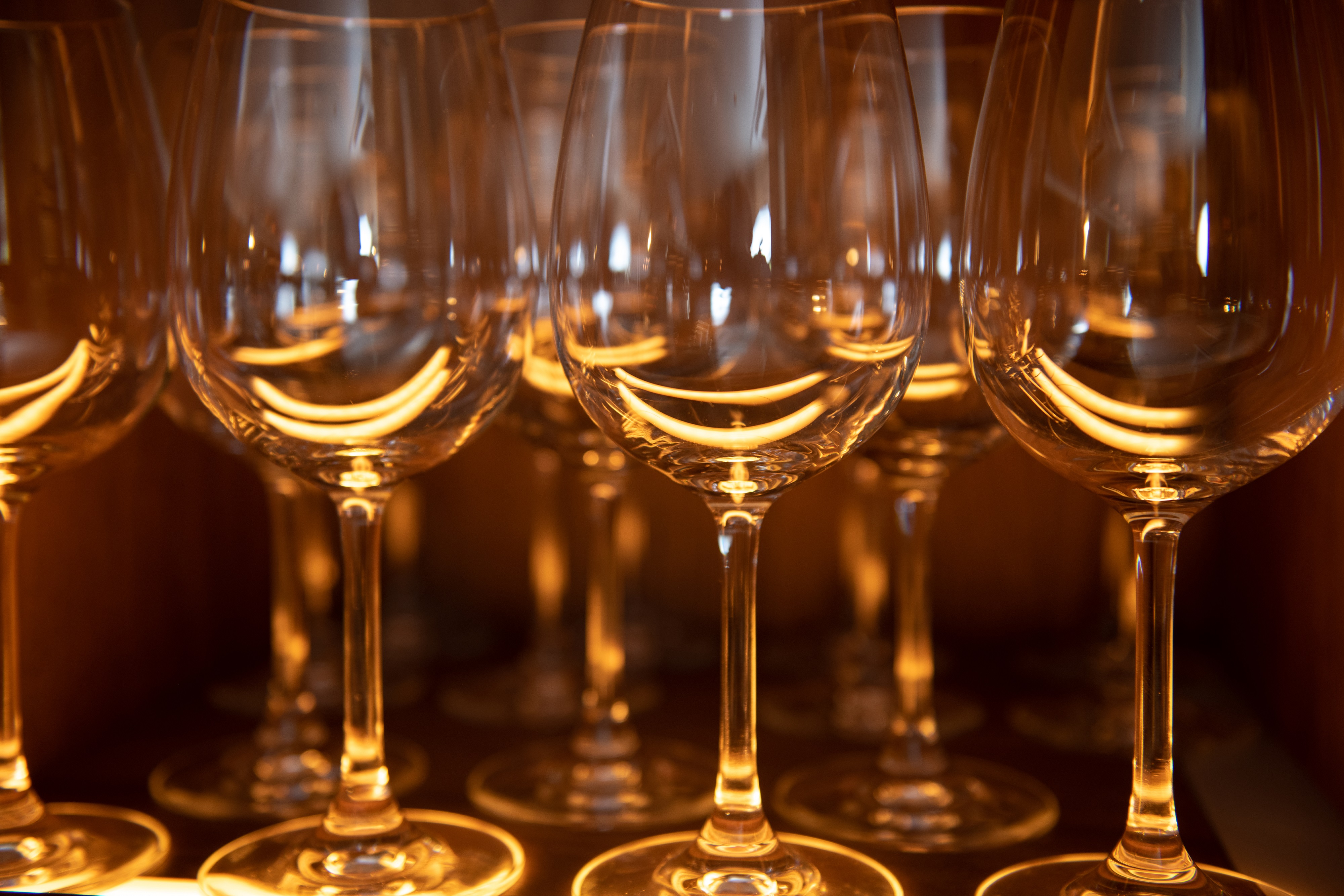 【カフェ】ジャズのリズムに身を委ね、本と過ごす贅沢な時間