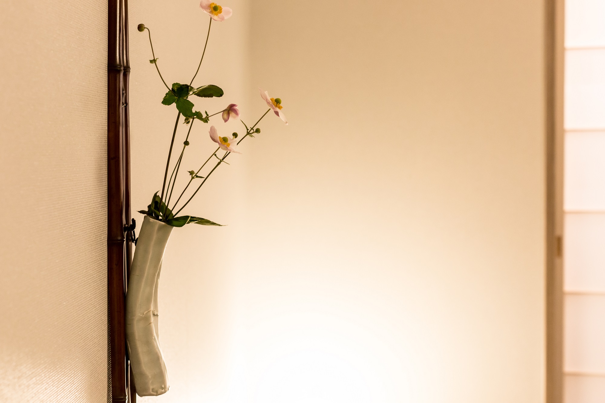 垂発　一輪の花が映す、室内と屋外のはざまの美