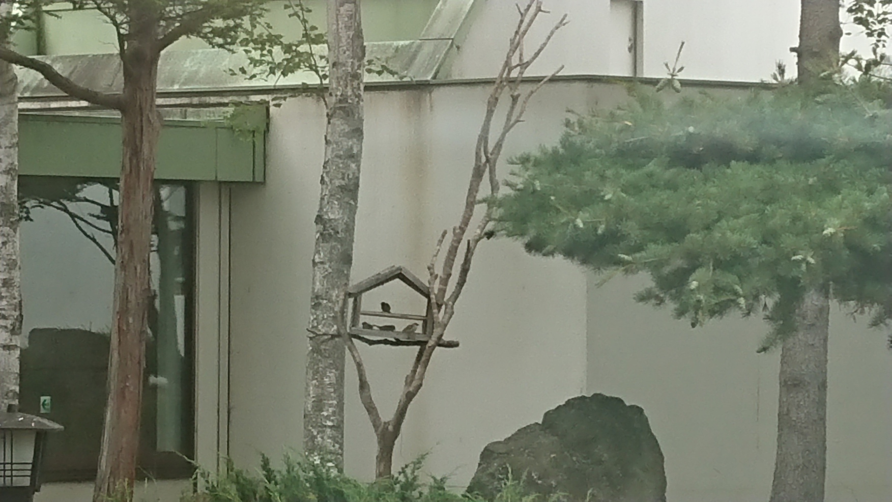 写真4
