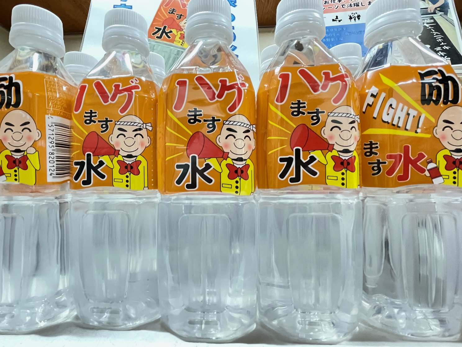 【朝夕２食付き】選挙疲れを癒す お水プレゼントプラン